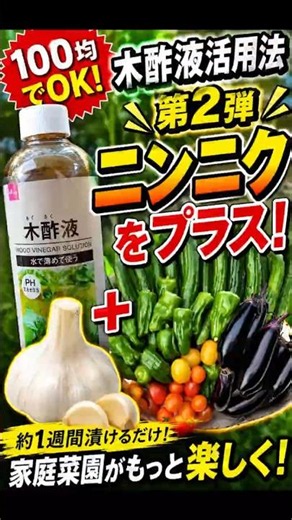 Grow Healthy Vegetables with Wood Vinegar and Garlic! #BalconyGardening #Gardening #DIY