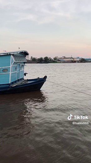 TikTok · Mama’s boy