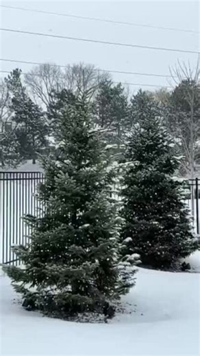 Morning Dusting Brings More Snow to Omaha