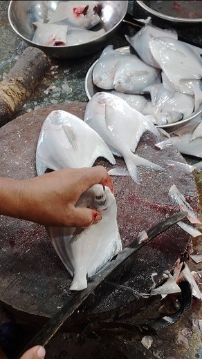 4.2M views · 42K reactions | #fish | Mr baba fish | Facebook