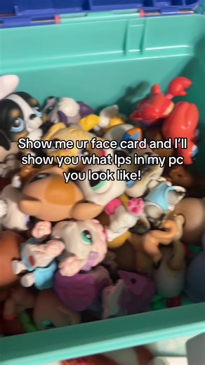 Guys don’t be scared pls😔 I got all these lps to assign #relateable #lps #fypシ #lpstiktok #xzyabc