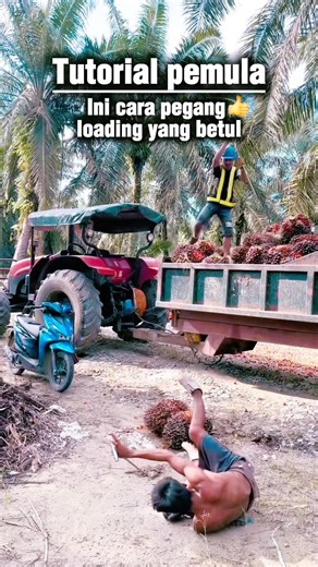 Tutorial pemula ini cara pegang loading yang betul👍 #sawit #kelapasawit #truksawit #muatsawit #fyp