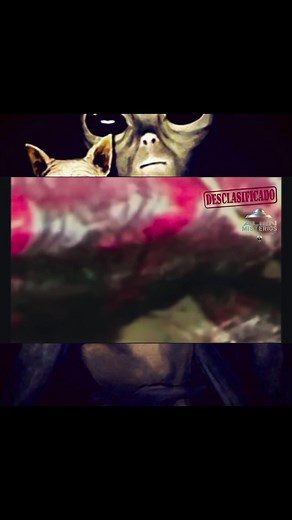 𝗟𝗔 "𝗠𝗢𝗡𝗔 𝗟𝗜𝗦𝗔" 𝗗𝗘 𝗟𝗔 𝗟𝗨𝗡𝗔 La chica extraterrestre en contrada en la expedición del Apolo 20 en la luna. Aunque oficialmente la NASA detuvo su programa Apolo con Apolo 17, muchos investigadores afirman que la NASA continuó este programa en secreto. La razón era simple: Los extraterrestres en la Luna. La historia oficial de la NASA acerca de por qué el programa fue cerrado era: los recortes presupuestarios, traslado de fondos y otras razones que no parecen tener sentido. ¿Por qué