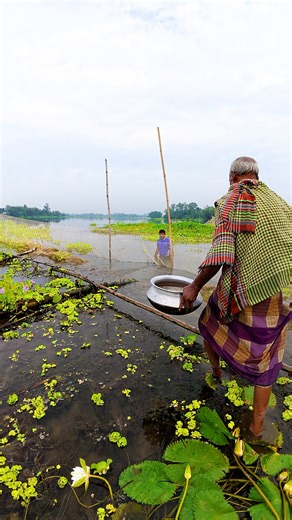 প্রাচীন কৌশলে টাঙন নদীতে জাল দিয়ে প্রচুর মাছ ধরা দেখুন #nature #fishing #riverfishing #village #fish | Local Fishing Videos