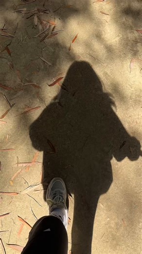 엑친님들 오늘 하루도 고생하셨습니다. 편히 주무시고 내일도 예쁜 꽃길 걸으세요.🌼지난해 봄 만들었던 꽃길 영상이에요.