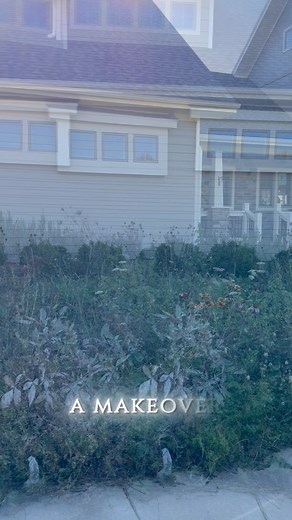 Front bed MAKEOVER I have loved this wild area for many reasons! It was full of echinacea, Black Eyed Susans, Dara, Batchelor’s Button, Love in a Mist , peonies, Autumn Joy Sedum, Lavender, Catmint , Lupines….and so much more! And depending on the time of the season, there would be a full array of bright fuschia , lots of gold or light purple blooming. Since the birds loved it, the area was a win-win! But it was just too full of so many self-seeded flowers and weeds sprinkled throughout so I fel