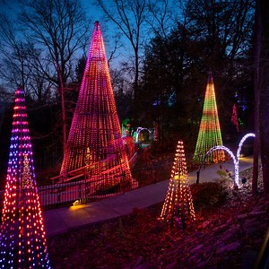 6.2K views · 1.7K reactions | Join us as we celebrate See Rock City’s 28th Annual Enchanted Garden of Lights this holiday season. All guests must reserve an entry time in advance online. Get your tickets today! #EnchantedGardenofLights | Rock City | Facebook