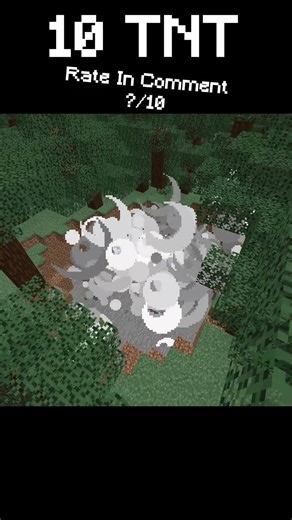 Minecraft 10 TNT Explosion Test #shorts