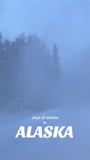Had to pull over for this one! Wind was blowing the snow right off the trees! Alaska is terrifyingly beautiful. The nights are long and days are short, it’s cold, it’s isolating. But maybe that’s the beauty of it? #alaska #terrifying #winter #arctic #viral
