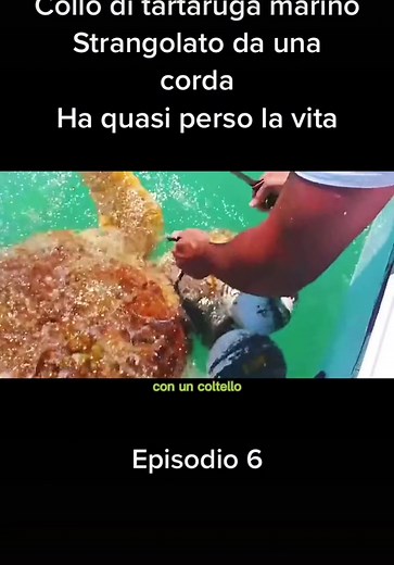 #documentario #movie #film #tiktok #foryou