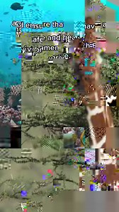 Species play a fundamental role in keeping our planet healthy. In fact, biodiversity IS a climate solution. | Conservation International