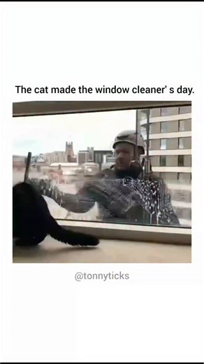 tonnyticks on Instagram: "Dm for credit or removal please before taking any action , I'll solve it immediately The video depicts a black cat in a Liverpool high-rise playfully pawing and following a window cleaner's movements through the glass, with the cleaner visibly smiling in response, creating a spontaneous interspecies friendship against the city's skyline. Posted January 3, 2026, by @TheFigen_ , a account focused on uplifting art and memes, the clip amassed 40,000+ likes in 24 hours, driv