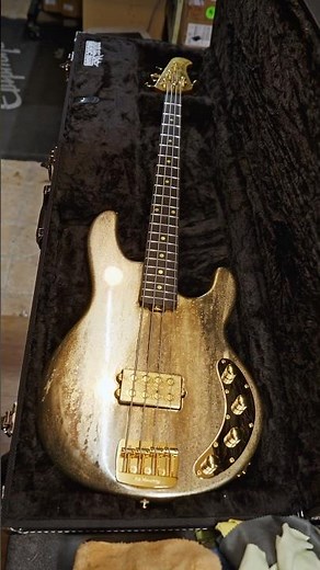 This Golden ‘Ray is done hiding! 🌟 #bass #bassguitar #stingraybass #musicman #ernieballmusicman