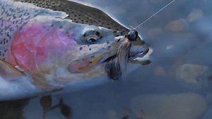 3.5K views · 98 reactions | Jordan and our friend, Bill Herzog are out fishing for monster trout with twitching jigs. Full Episode!  | Addicted Fishing | Facebook