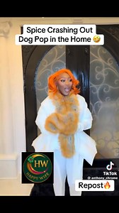 Milo Poop In Spice Mansion | Bryan Nodia