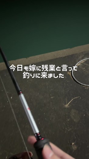 シーバス釣りのおすすめルアー