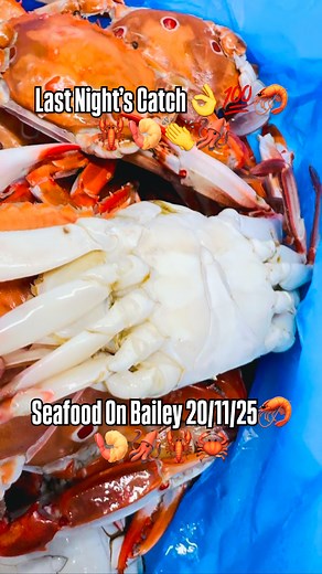 15 reactions · 3 comments | From Our Very Own Trawlers To Your Dinner Table.. The Very Best On The Gold Coast‍♂️路‍♂️咽撚戀Seafood On Bailey 35 Bailey Crescent Southport 4215 | Seafood on Bailey | Facebook