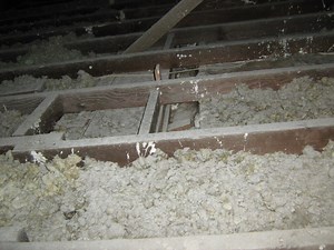 Asbestos Testing Info