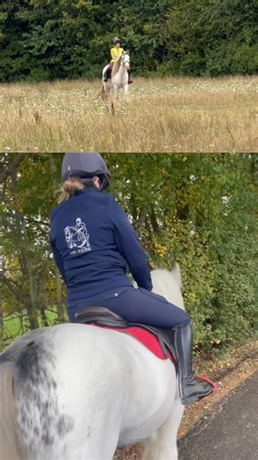 11K views · 245 reactions | Love this little compilation video of...