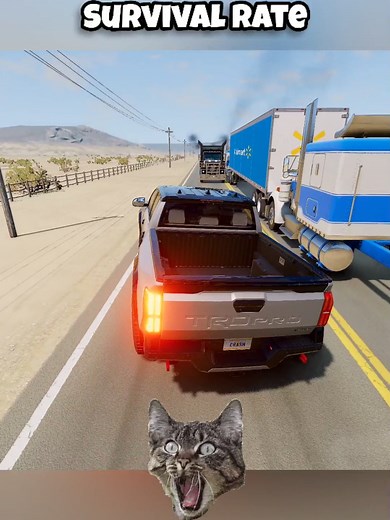 Vehicle Survival Rates in BeamNG Drive Gameplay