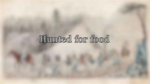 What Life On the Trail of Tears Was Like