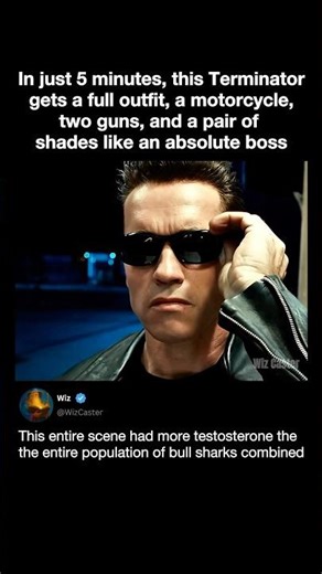 Arnold Was A Menace As The Terminator