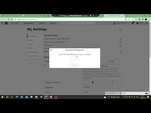 How to fix "You cannot perform this action with a locked pin." - Roblox