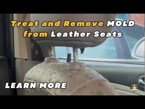 How To Effectively Treat and Remove MOLD from Leather Seats? | Leather Seat Treatment Tips by Big's.