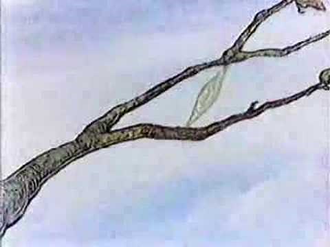 Disney '81 - Winnie the Pooh Discovers the Seasons
