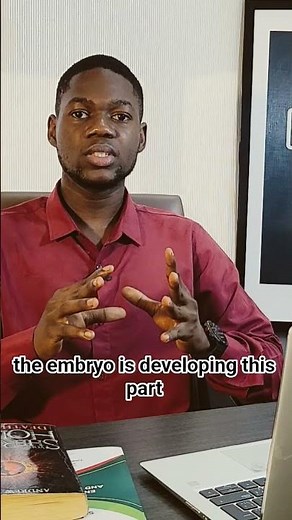 Animals Without Brains? Understanding Cephalisation.