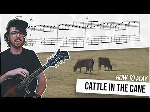 How to Play "Cattle in the Cane" Chords, Melody, Variations /// Mandolin Lesson (Intermediate)