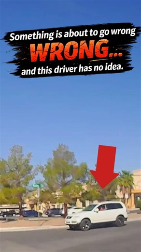 Alert Driver Pevents Disaster!