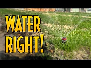 How to water your new lawn | When to Reduce Watering