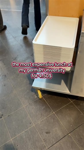 Exploring the Most Expensive Lunch at My German University