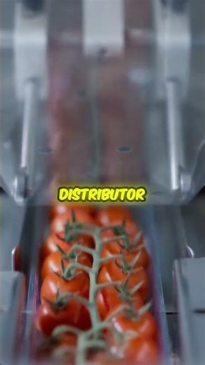 From Toyota to WWF: Huge Brands Using Odoo