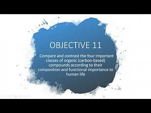 Chapter 2 - Obj 11a - Introduction to Macromolecules & Carbohydrates