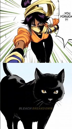 How Yoruichi turned into cat?