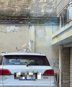 The error is too big😹😹 | Big4