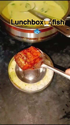Minivlog#82# lunchbox recipe சாதம், மோர் குழம்பு, பொரிச்ச மீன் 😋