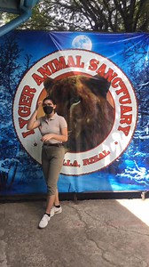 6.8K views · 27 reactions | Did you know?  Albino pythons lack dark pigment, giving them their beautiful yellow and white color and their eyes appear pink or red due to blood vessels showing through! ✨ #AlbinoPython #ZooExperience #PhotoOpportunity #WildEncounters #LygerZoo | Lyger Animal Sanctuary - ZOO | Facebook