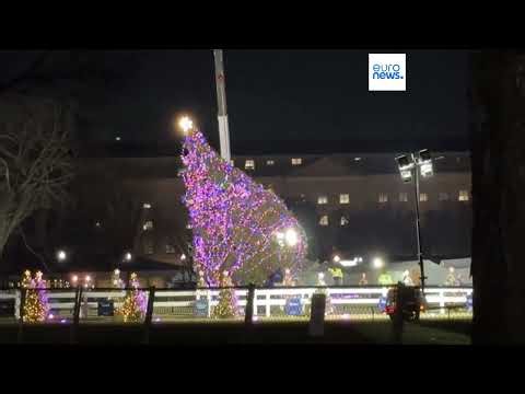Giant Christmas tree falls in front of the White House due to heavy winter winds
