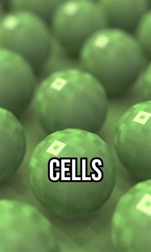 Plants that "see" light! #PlantFacts #Botany