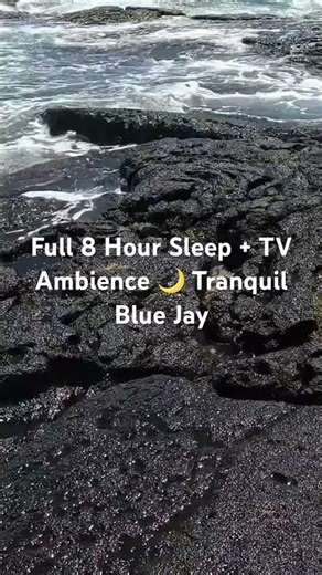 Hawaii lava rock waves 🌊 4K sleep + TV ambience