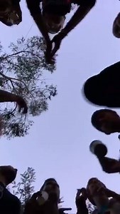 18K views · 1K reactions | "You Poni" millor disc de pop/rock del 2016 per votació popular als premis Enderrock. Moltes gràcies per haver-nos estimat una vegada més. Aquí us deixem la nostra mostra d'amor i agraïment. Veureu que no hi ha una gran qualitat tècnica, ja ho diuen que a aquestes hores de la matinada hi ha menys gravetat i el sistema nerviós simpàtic es veu alterat. Per vosaltres, ens feu molt feliços. | Oques Grasses | Facebook