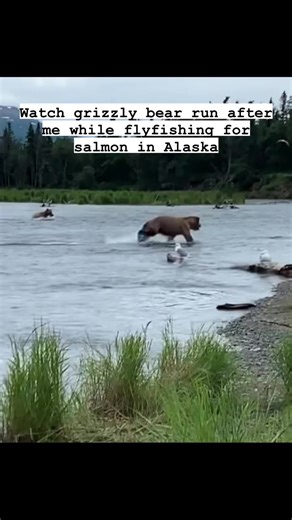 Elevating Hunting Ethics in the Treestand