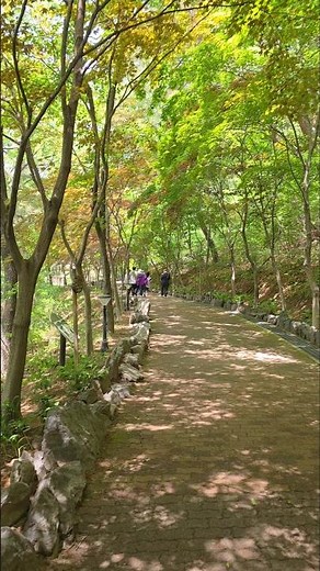 함안 입곡군립공원 둘레길 걷기