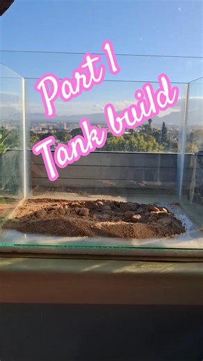 New client tank custom setup part 1. #aquarium #aquascape