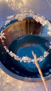 Random Facts That Could Save Your Life #factsyoudidntknow #facts #funfacts #randomfacts #showerthoughts #curiosity #satisfyingvideo #oddlysatisfying #CuriousFacts #curiosity #satisfying | The.UnknownHistory