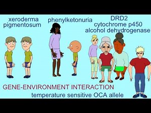 INHERITANCE: GENE ENVIRONMENT INTERACTIONS