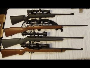 Picking your 1st 22 Rifle